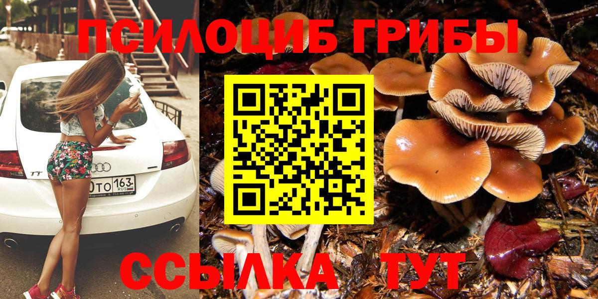 Ногинск  Галлюциногенные грибы ЛСД  Псилоцибиновые грибы Cubensis  Вход с VPN 